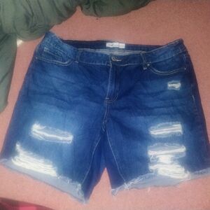 YMI Dark Blue Distressed Jean Shorts